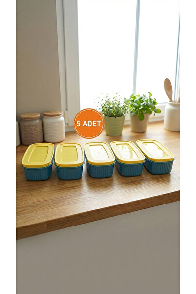 Tidy Home 5 Pieces Refrigerator Organizer Suitable for Microwave and Deep Fre...
