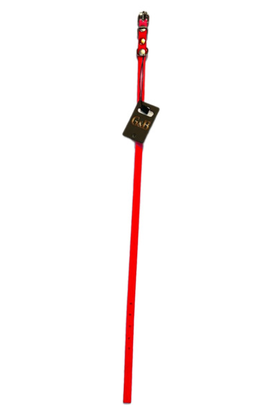 Gb Pet Mtxdpn (105449) Leash Orange