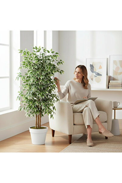ERHAN FLOWERS Yapay Ficus Ağaç 150 cm Beyaz Plastik Saksı