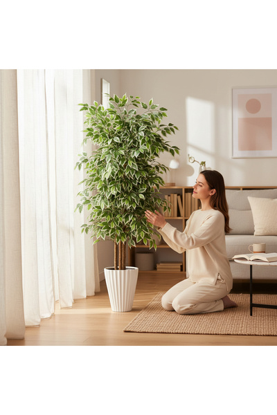 ERHAN FLOWERS Yapay Ficus Ağaç 150 cm Beyaz Lilyum Saksı