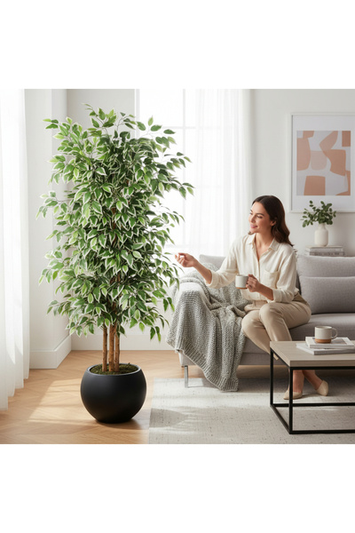 ERHAN FLOWERS Yapay Ficus Ağaç 150 cm Siyah Küre Saksı