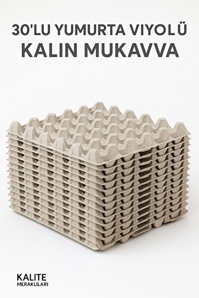 Kalite Meraklıları (30 Adet)30'lu Karton Yumurta Viyolü (30 Adet 17lbs)- Víyo...