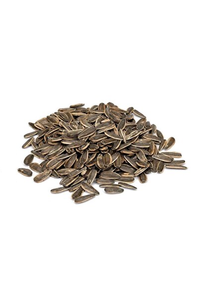 Nutova Siyah Ayçekirdeği - Çiğ ( 5 KG)