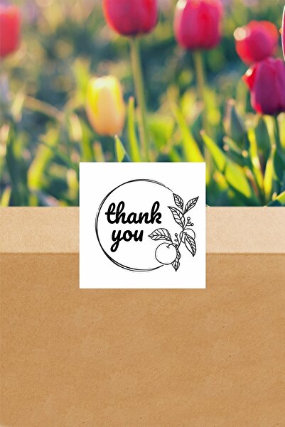 Dekorden Sticker, 45 Pieces "Thank You" Tags