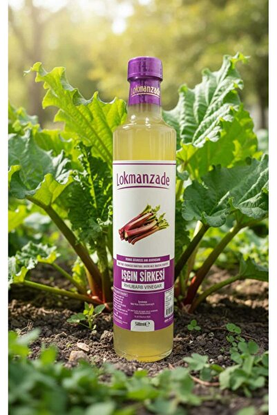 Lokmanzade IŞGIN SİRKESİ 500 ML