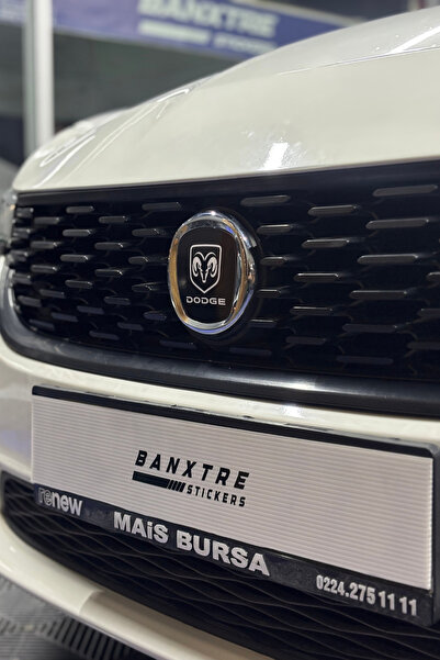 Banxtre مجموعة ملصقات متوافقة تمامًا للجزء الأمامي والخلفي لسيارة فيات إيجيا