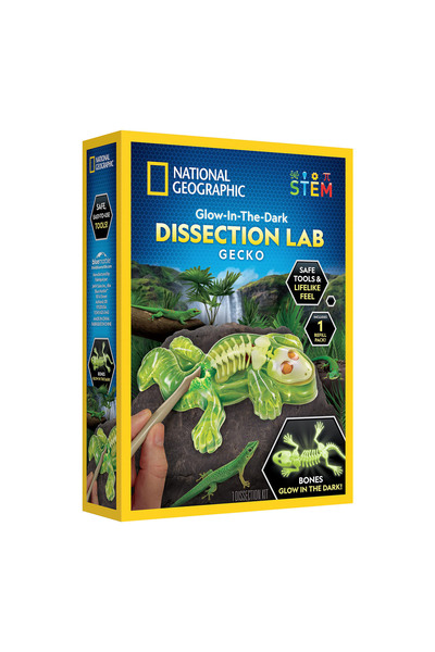 NATIONAL GEOGRAPHIC مختبر تشريح الوزغة المتوهجة في الظلام