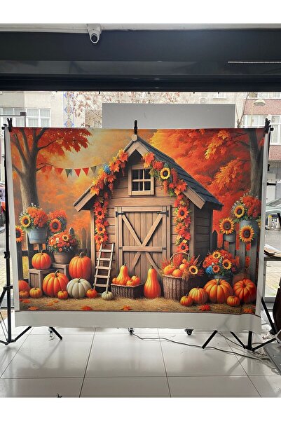 PROMISEBACKDROP2 خلفية قماشية مقاس 250x200 سم مع خياطة إضافية، مناسبة للخريف،...