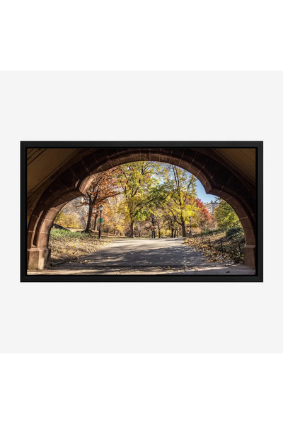 Tajridhome لوحة طبيعة هادئة - طريق تحت قوس - أشجار ملونة - هادئ - لوحات طبيعة...