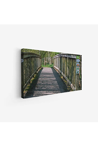 Tajridhome لوحة طبيعة هادئة - جسر خشبي - أشجار خضراء - مشمس - لوحات طبيعة - ل...