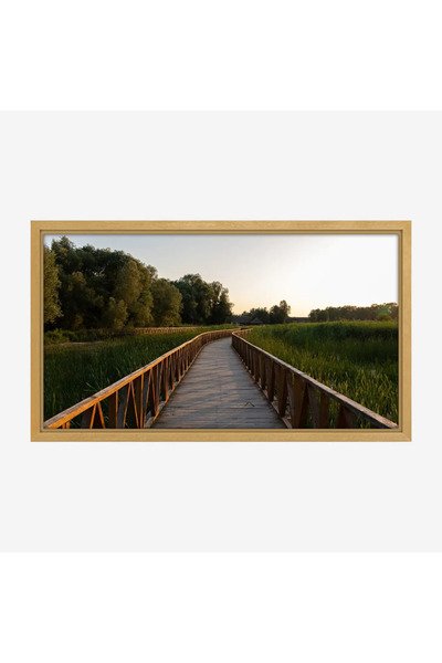 Tajridhome A tranquil nature painting - wooden walkway - warm colors - peacef...