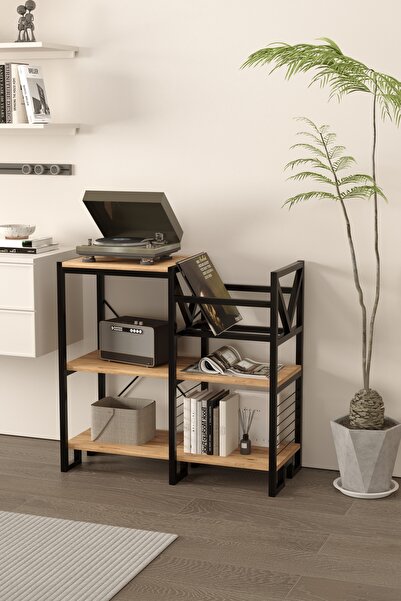 boz concept home Ev Mobilya Düzenleyici Plaklık Dekoratif Metal Gövdeli Ahşap...