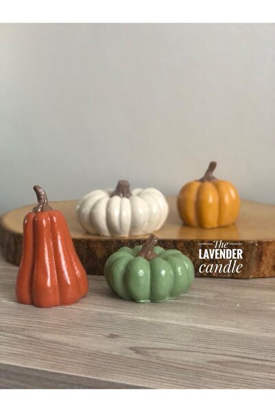 lc the lavender candle Renkli kabaklar 4 renk