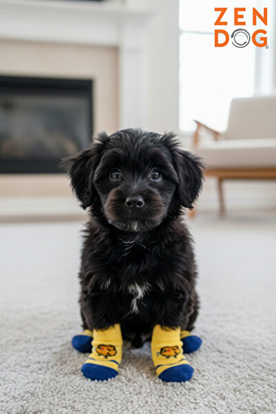 ZENDOG Zenpaw Non-Slip Sole Dog Socks - Chick