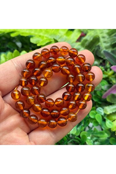 TAŞ UZMANI حفريات العنبر الليتوانية الأصلية 8 مم