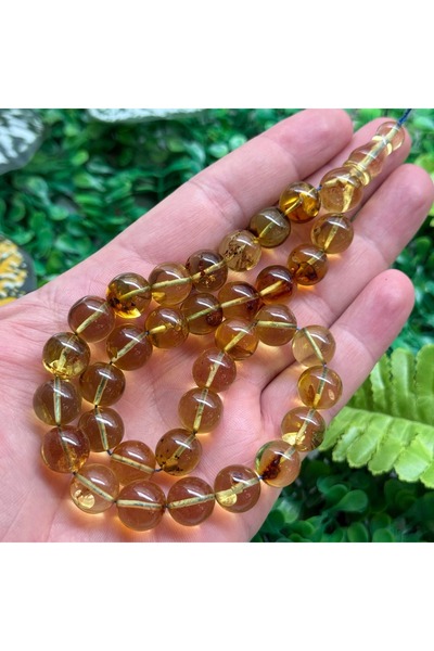 TAŞ UZMANI سبحة من العنبر الكالينينغرادي مقاس 12 مم