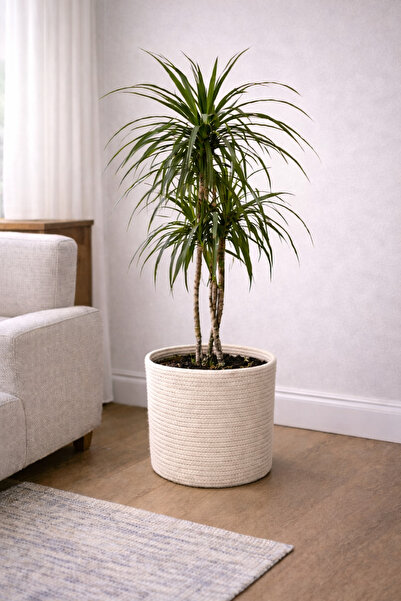 ÖRGÜM Basket Decorative Multi-Purpose Organizer 25 X25 cm