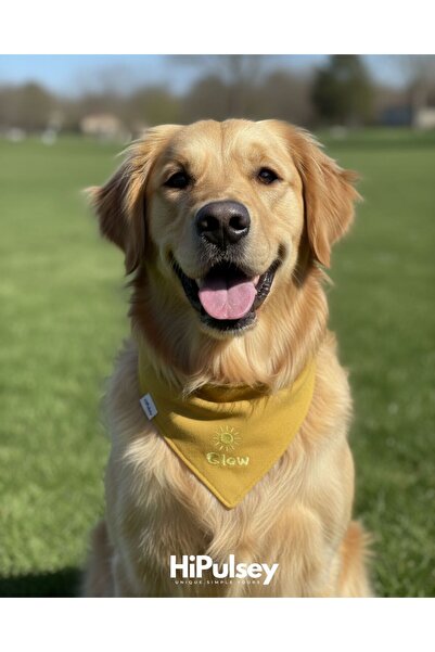 Glow Basic Nakış Desenli Köpek Bandanası