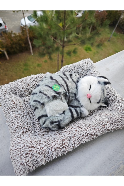HBM MARKET 37 Minderde uyuyan büyük boy sesli kedi 24 cm gri