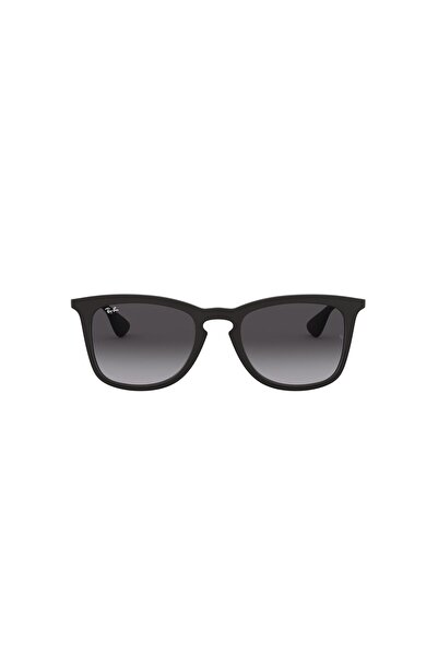 Ray-Ban RAYBAN 4221 622 8G 50 Güneş Gözlüğü