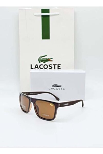 Lacoste New Glasses