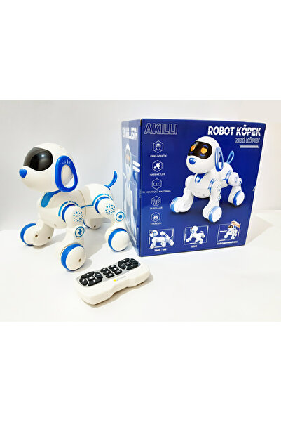 renkli çiçekler Kumandalı Akıllı Robot Köpek Şarkı Söyleyen Dans Eden Şınav Ç...