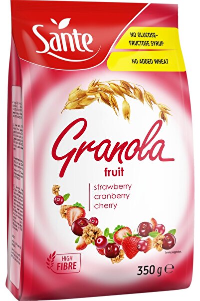Sante Granola Fruit Mix, 350 gm