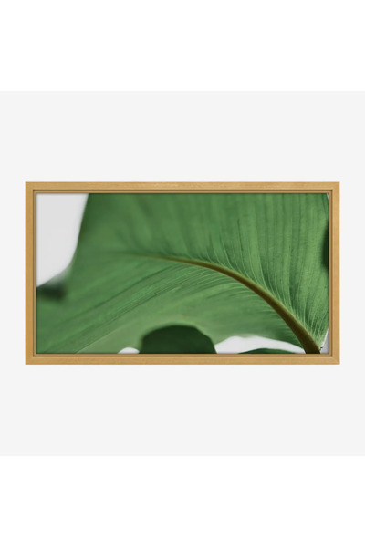 Tajridhome لوحة طبيعة هادئة - ورقة خضراء - تفاصيل ناعمة - هادئ - لوحات طبيعة ...