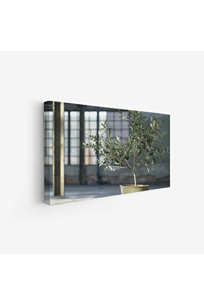 Tajridhome لوحة طبيعة هادئة - شجرة زيتون - إضاءة طبيعية - هادئ - لوحات طبيعة ...