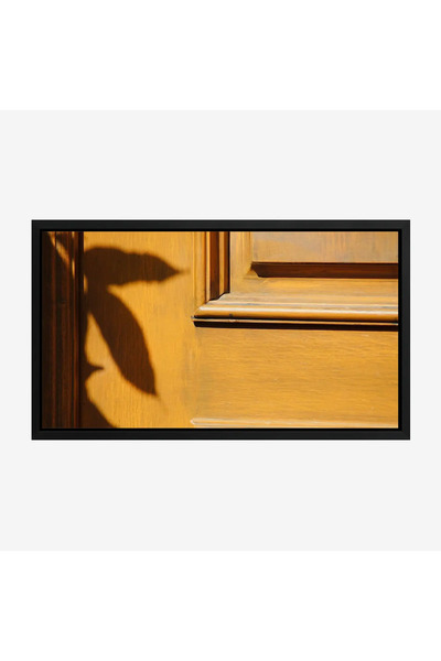 Tajridhome لوحة جدارية - باب خشبي - ظل نبات - مشمس - لوحات حائط - لوحات كانفاس