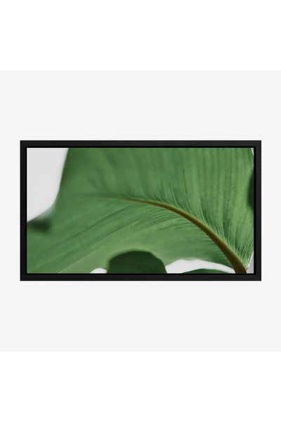 Tajridhome لوحة طبيعة هادئة - ورقة خضراء - تفاصيل ناعمة - هادئ - لوحات طبيعة ...