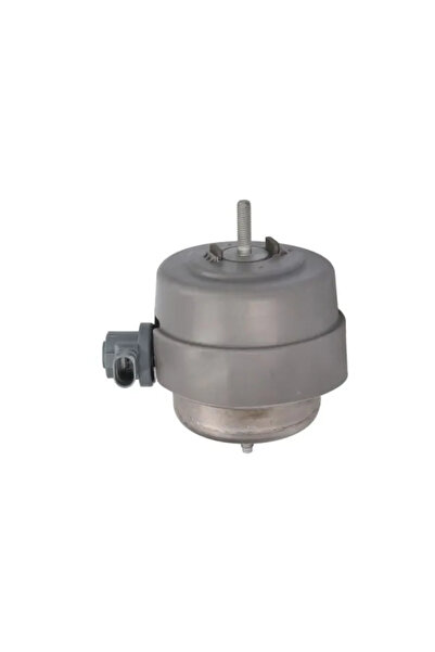 REINHOCH Suport Motor Pe Ambele Parti Audi A4 B6/A4 B7/A6 C5 2000-2009