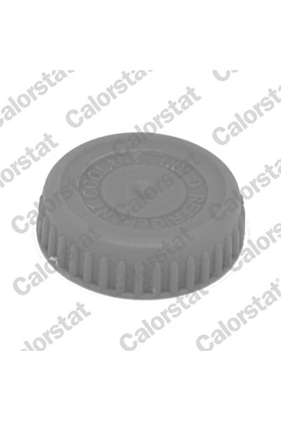 CALORSTAT by Vernet Buson,Vas Expansiune Rc0185 Nissan Almera Ii/Almera Ii Ha...