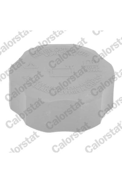CALORSTAT by Vernet Buson,Vas Expansiune Rc0190 Chevrolet Captiva/Captiva Van...