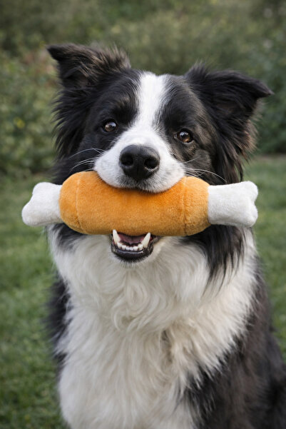 mastercat Cute Realistic Chicken Leg Toy Dog Toy