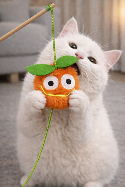 mastercat لعبة القط البرتقالي المبهر - قصبة صيد القطط ماتاتابيلي