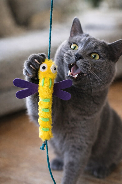 mastercat End-Of-Line Beetle Dragonfly Cat Fishing Rod - Lucky Toy / Cat with...