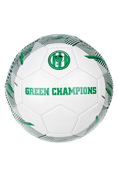 OEM Alba Green Champions Soccer Ball No. 5