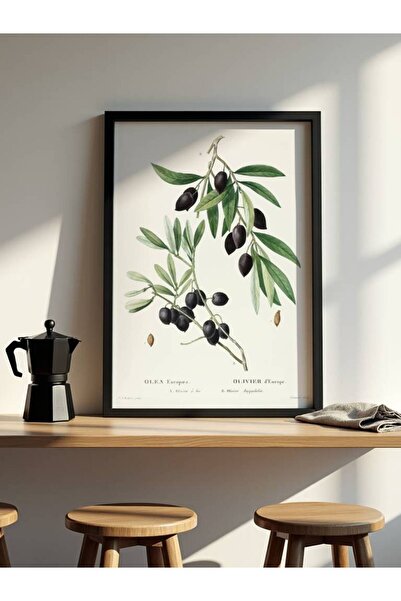 fuart.co Zeytin Dalı Mutfak Posteri, Kitchen Poster, Mutfak Tablo, Çerçevesiz...