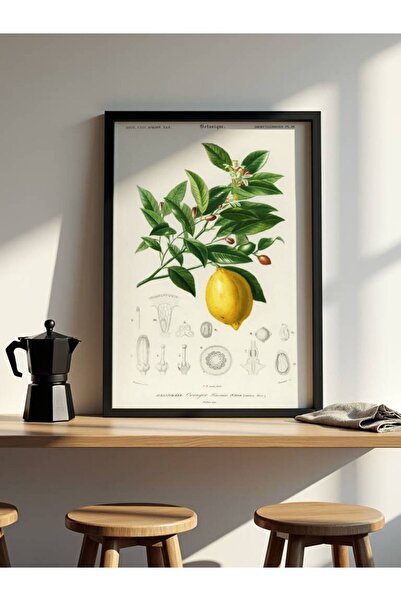 fuart.co Limon Dalı Mutfak Posteri, Kitchen Poster, Mutfak Tablo, Çerçevesiz ...