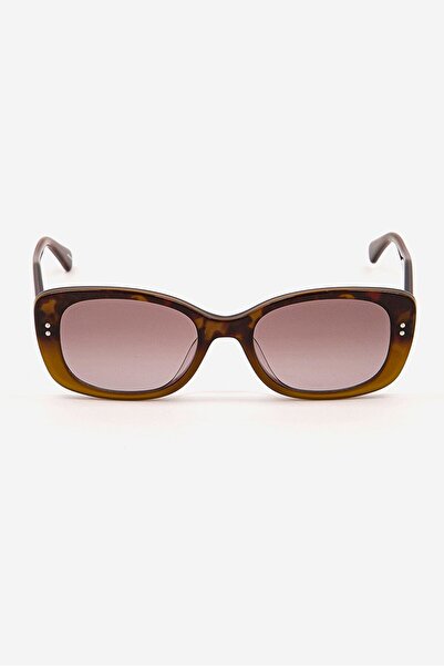 Kate Spade Women CITIANIGS Fashion Sunglasses, Dark Brown