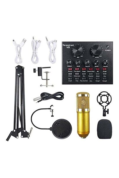 Arabest 13-Piece Sound Card Professional Studio Broadcasting Microphone Set