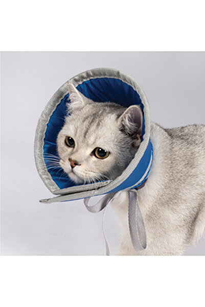 Harmandar Kedi Elizabeth Koruyucu Yakalık – Ameliyat Sonrası & Tırnak Kesme B...