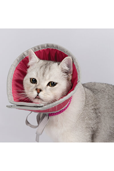 Harmandar Kedi Elizabeth Koruyucu Yakalık – Ameliyat Sonrası & Tırnak Kesme B...