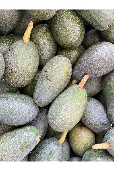 Şerifenin Bahçesi 4 kg küçük boy Avokado