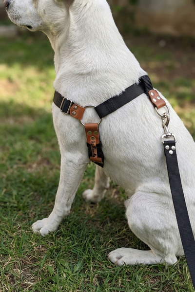 balkonda Dog Harness Large and Extra Large Breeds Adjustable Front and Back P...