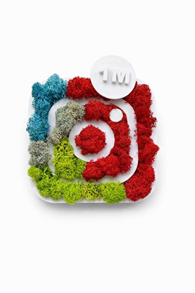 Studio Design 3D Lichen Painting Instagram