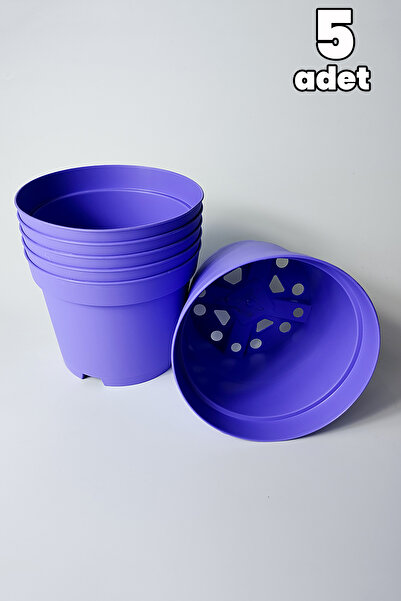 Tekpar Kaktüs ve Sukulent Saksısı Bol Drenaj Delikli Lila 5 Adet