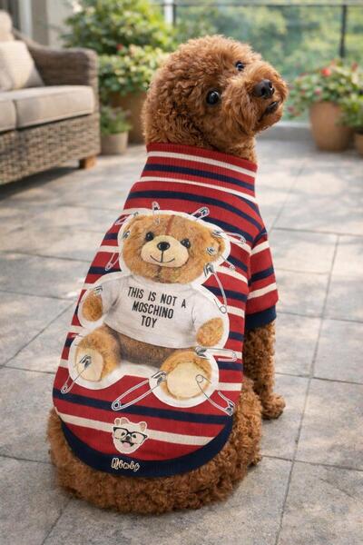 MİNİŞ PET BUTİK سترة تيدي توي المرنة، سترة تريكو للكلاب الصغيرة