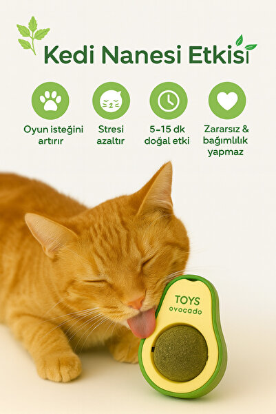 Doğal Catnipli Yenilebilir Dönen Kedi Nanesi Otu Oyun Topu Top Oyuncak Kedi Yalama Topu Avokado